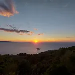 Wildsunset *