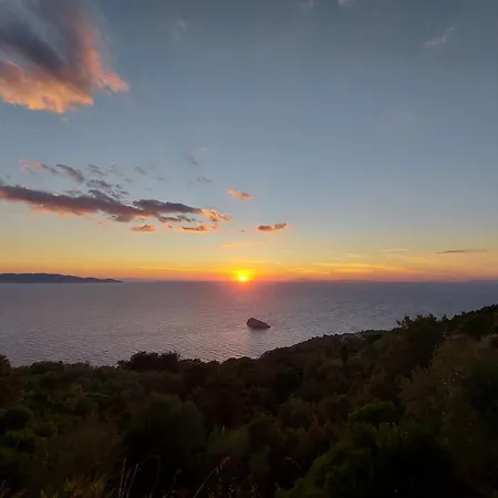 Wildsunset *